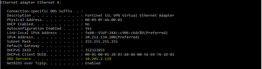 SSLVPN DNS IP.PNG