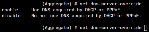 DNS Override.png