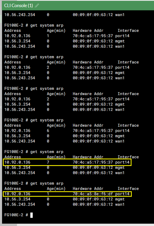 arp table aging time.PNG