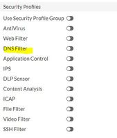 DNS filter.JPG