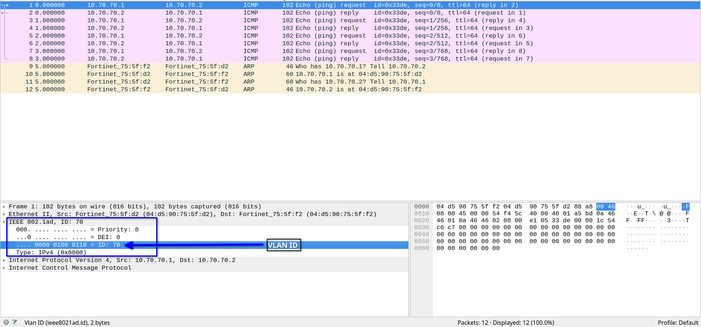 VLAN_capture.png