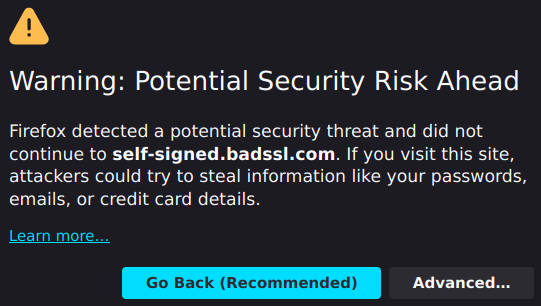 Badssl.com'da kendinden imzalı sertifika örneği
