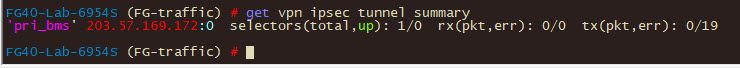 2023-11-01 15h52m03s93 get vpn ipsec tunnel summary.jpg