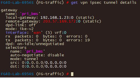 2023-11-01 15h52m23s94 get vpn ipsec tunnel details.jpg