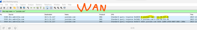 sdns-behave-wan.png sdns-behave-wan.png