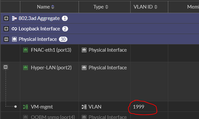 vlan interface.PNG