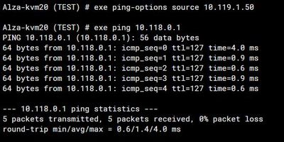 ping fom test vdom.JPG