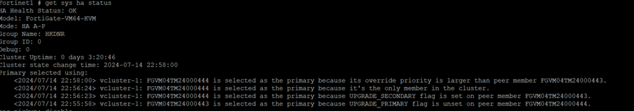 Fortinet1 get sys ha.PNG