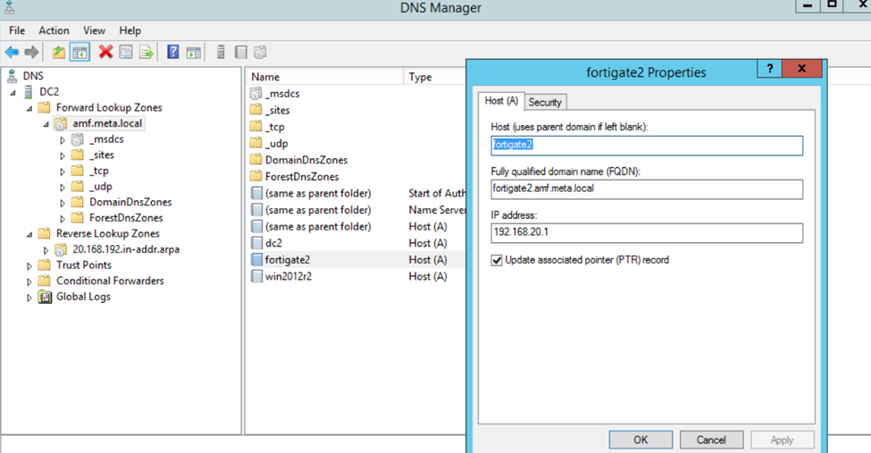 Figure 6. DNS A record configuration for FortiGate