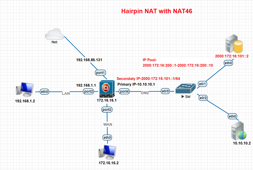 Hairpin Nat with Nat46.png