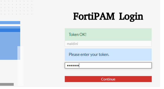 Figure 4. Testing user credentials and approving token.