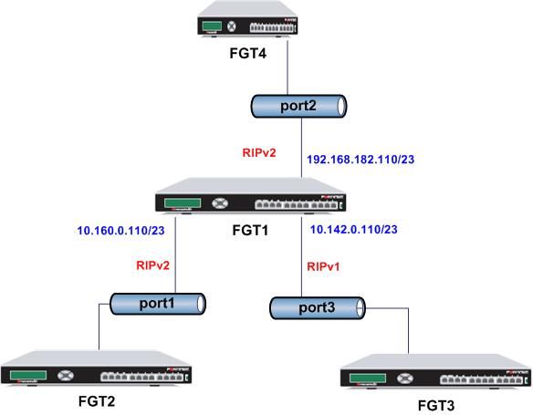 rmetzger_FD30031_RIP_diagram.jpg