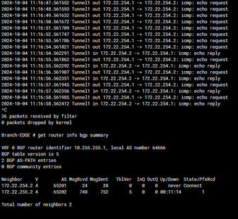 bgp summart2.PNG bgp summart2.PNG