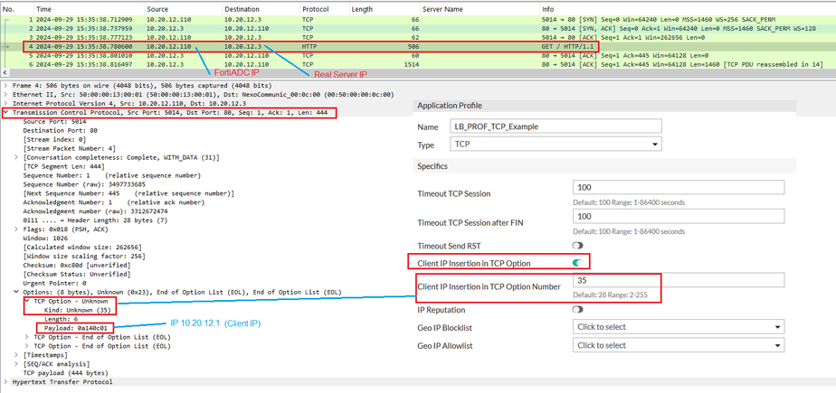 tcp_option_with_client_ip_information.png