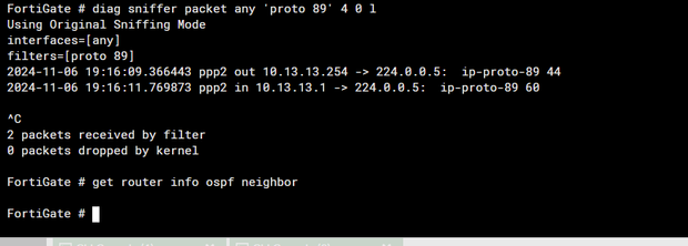 sniffer and ospf neigh output.PNG