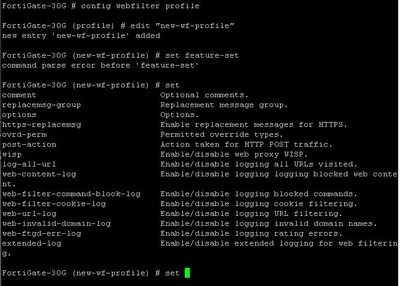 Fortigate 30G Profile in Policies issue 5.JPG