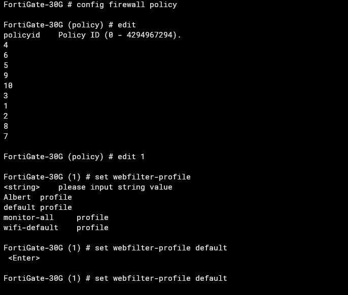 Fortigate 30G Profile in Policies issue 6.JPG