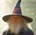 Forti-Wizard