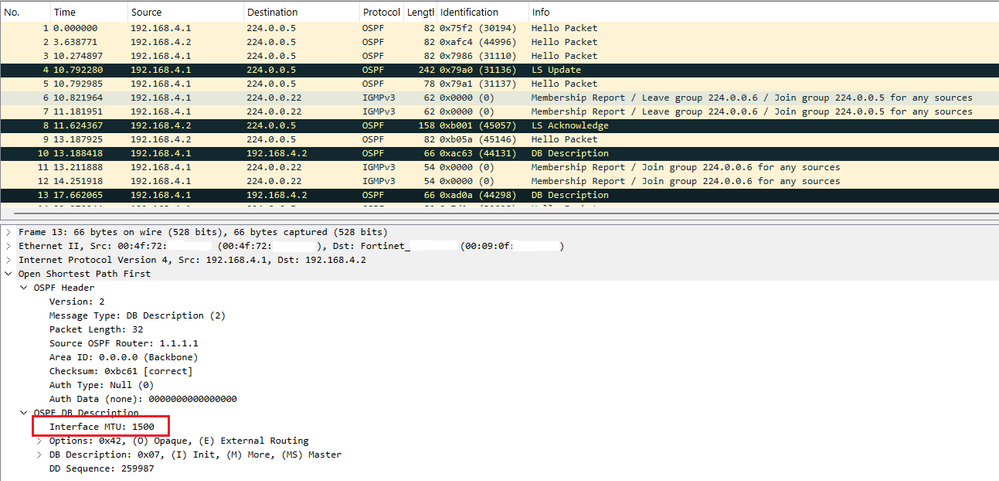 ospf1.png