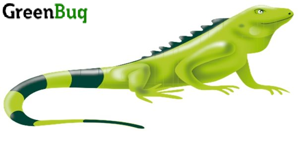 Greenbug1.png