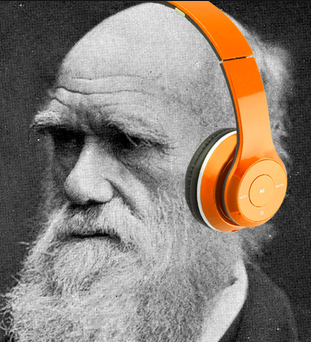 Darwin.png