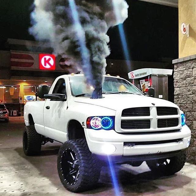 ram2.jpg