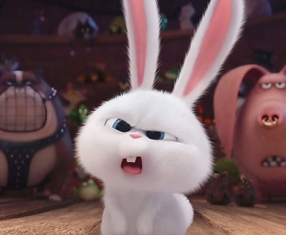 snowball-what.jpg