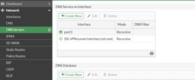 DNS Services Interface.PNG